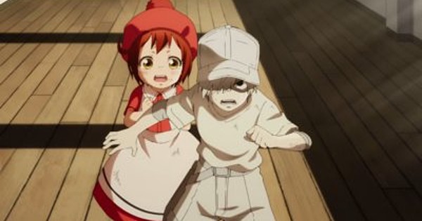 Episode 7 - Cells at Work! - Anime News Network