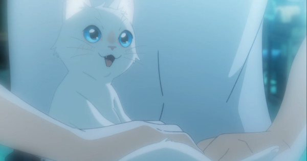 Anime For CatLovers The Best 5 Series If You Love Cats