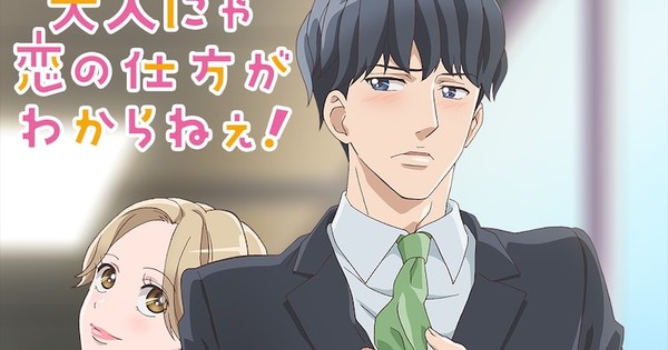 Otona nya Koi no Shikata ga Wakaranee! Todos os Episódios Online » Anime TV  Online