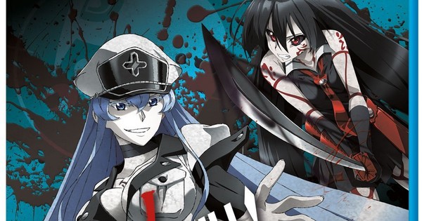 Otaku's Universe: Akame ga Kill ! - Anime Review