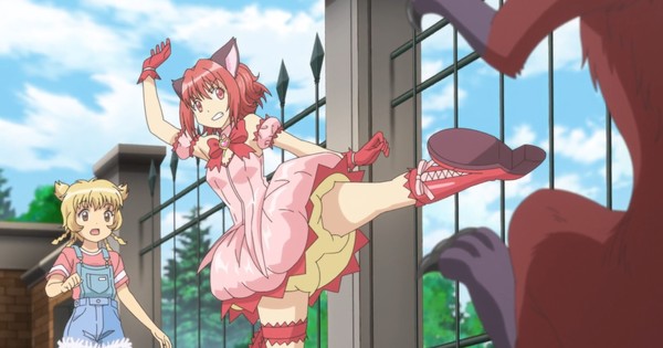 Tokyo Mew Mew New Season 3 Release Date Will it ever happen or