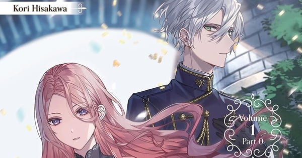 To Sir, Without Love: I'm Divorcing You Novel Review