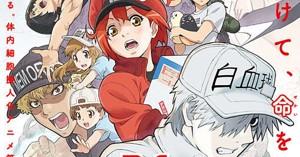First Impression: Cells At Work!! Season 2 – Beneath the Tangles