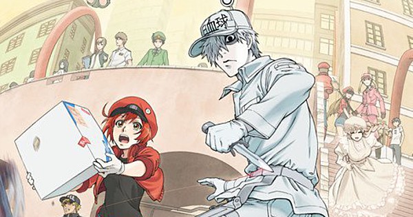 Hataraku Saibou (Cell at Work) DVD Vol. 1-13 End Anime