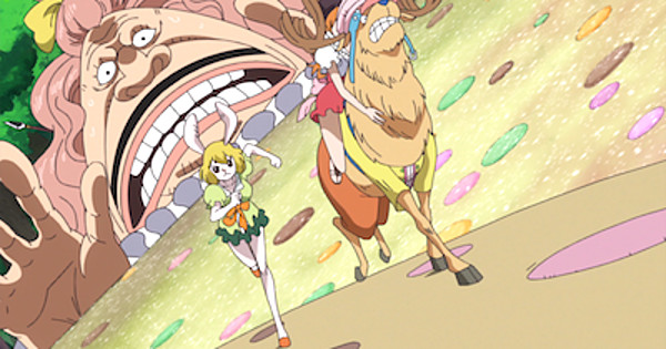 Episode 792 - One Piece - Anime News Network