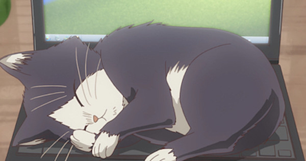 Cute anime kawaii sleeping cat Royalty Free Vector Image
