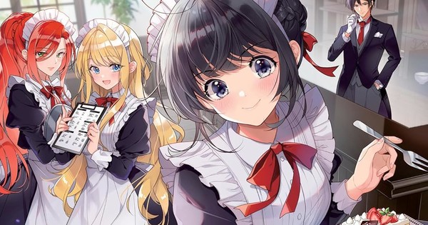 Heroine? Saint? No, I'm an All-Works Maid (And Proud of It)! Volumes 2-6 Light Novel Review
