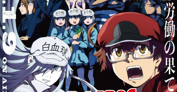 Hataraku Saibou CM (Cells at Work!) 