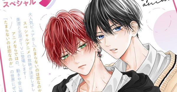 A Love Too Captivating BL Manga Gets Anime Special on April 6 - News