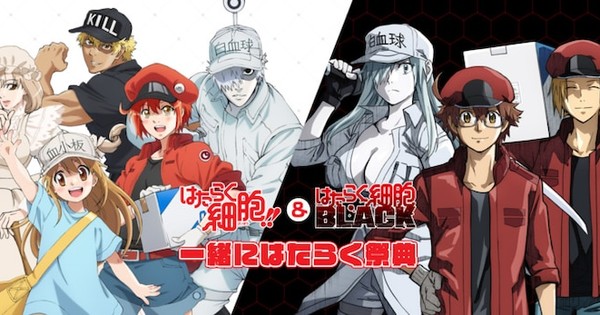 Cells at Work! Season 2 to Air from Jan. 9!, Anime News