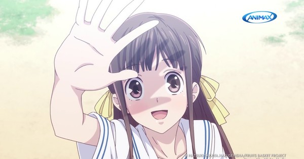 All About Animax All About Animax