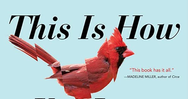 Trigun Fan's Book Recommendation Tweet Escalates Fast - Interest ...