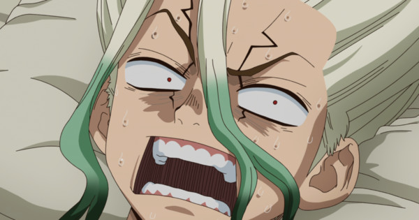 Dr. STONE's SHOCKING Secret: Is Suika a MYSTERY Balloon Animal?!