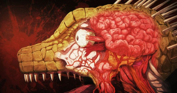 Dorohedoro Season 2 ‒ Episodes 1-5