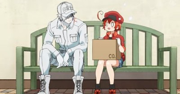 Watching 'Cells at Work