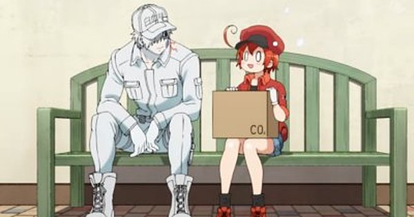 Episode 7 - Cells at Work! - Anime News Network