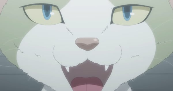 nyaight-of-the-living-cat-1.