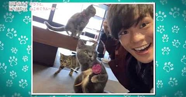 My Roommate is a Cat Star Kensho Ono Tries Hanging Out With ...