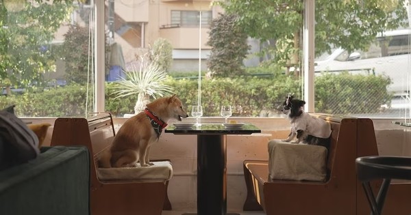 Tomokazu Sugita, Nana Mizuki Star as Dogs in Love in Live-Action Show