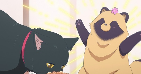 CATastrophe Strikes! With You and the Rain Episode 6:  Feline Fury and Canine Chaos!