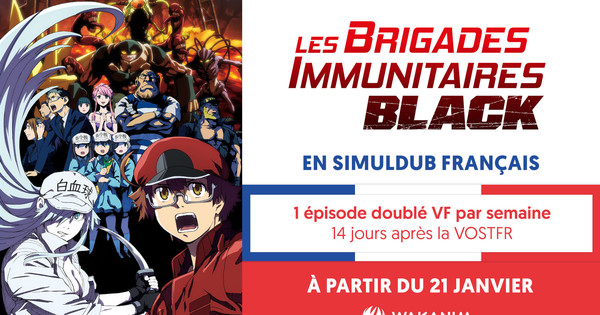 Les Brigades Immunitaire Black Scan Vf
