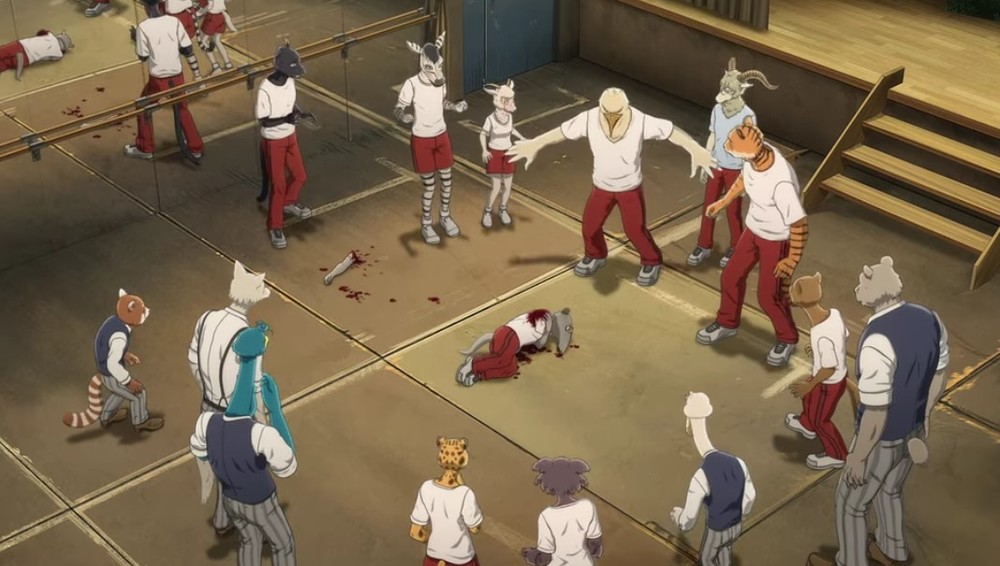 Episodes 5678 BEASTARS saison 2 Anime News NetworkFR