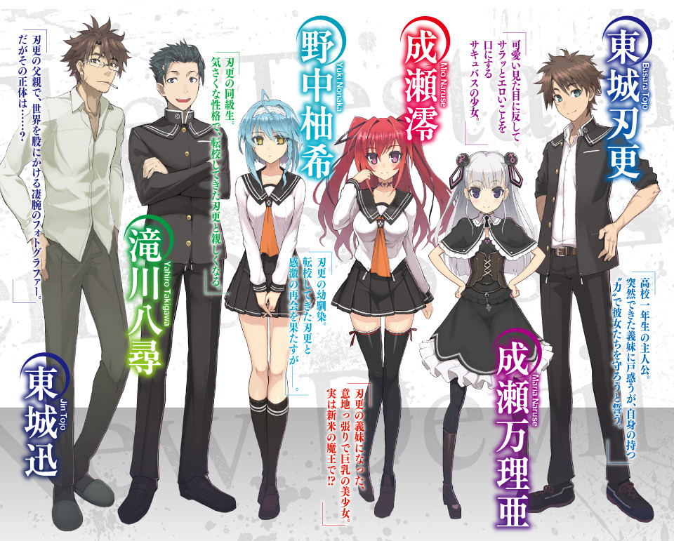 Testament Of Sister New Devil Light Novel