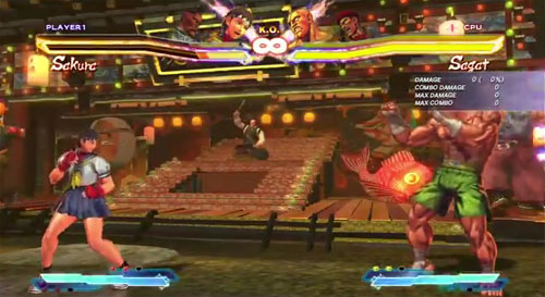 The rare Street Fighter X Tekken Sakura is captured on film, though skeptics insist it's just a log.