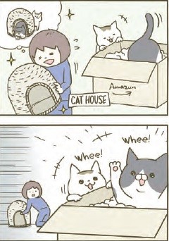 rhs-weirdo-cat-panel
