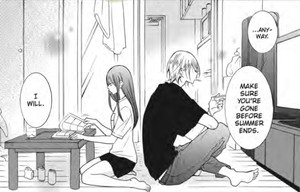 rhs-stray-cat-panel
