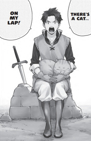 cat-on-hero-lap.png