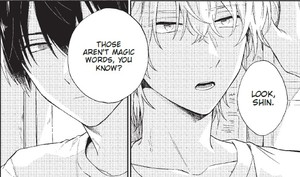 rhs-laundromat-panel