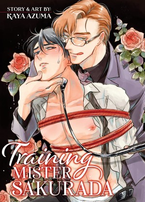 training-mr-sakurada-cover