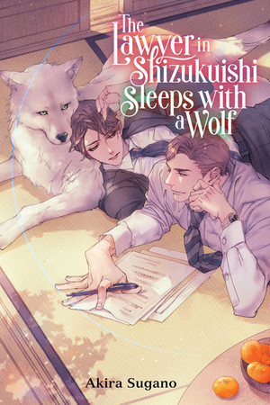 lawyer-cover