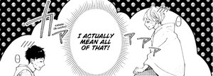 rhs-shiba-x-nomiya-panel.png