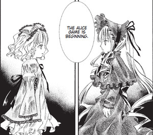 rhs-rozen-panel.png