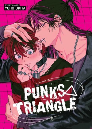 punk-triangle-cover