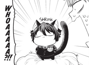 the-handsome-catboy.png