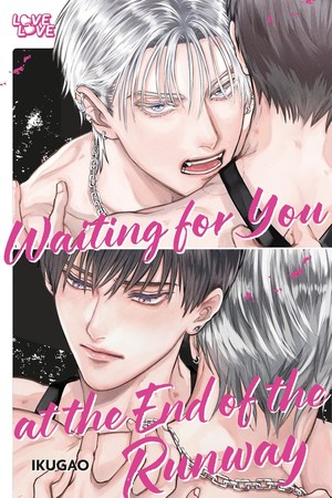 waiting-for-you-at-the-end-of-the-runway-cover-art