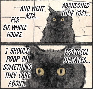 rhs-cat-aura-panel.png