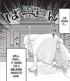 rhs-stella-panel.png