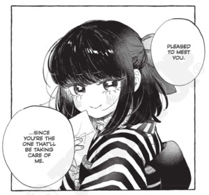 beneath-the-falling-camellia-blooms-volume-1-panel-art.png
