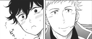 rhs-nekoyashiki-panel.png