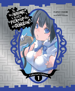 is-it-wrong.dungeon-collector-s-edition-cover