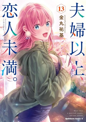 13th volume cover of More Than a Married Couple, But Not Lovers