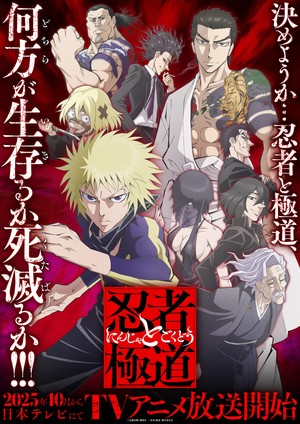 Ninja vs. Gokudo anime's key visual