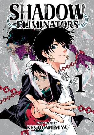Shadow Eliminators