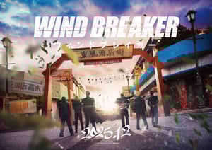 wind