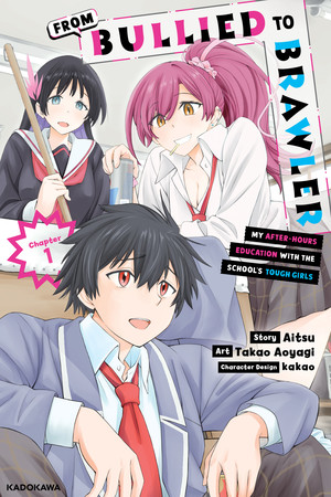 First English volume cover of From Bullied to Brawler: My After-Hours Education with the School's Tough Girls