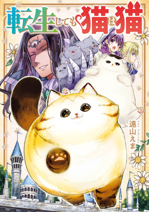 Cats are any cats in life